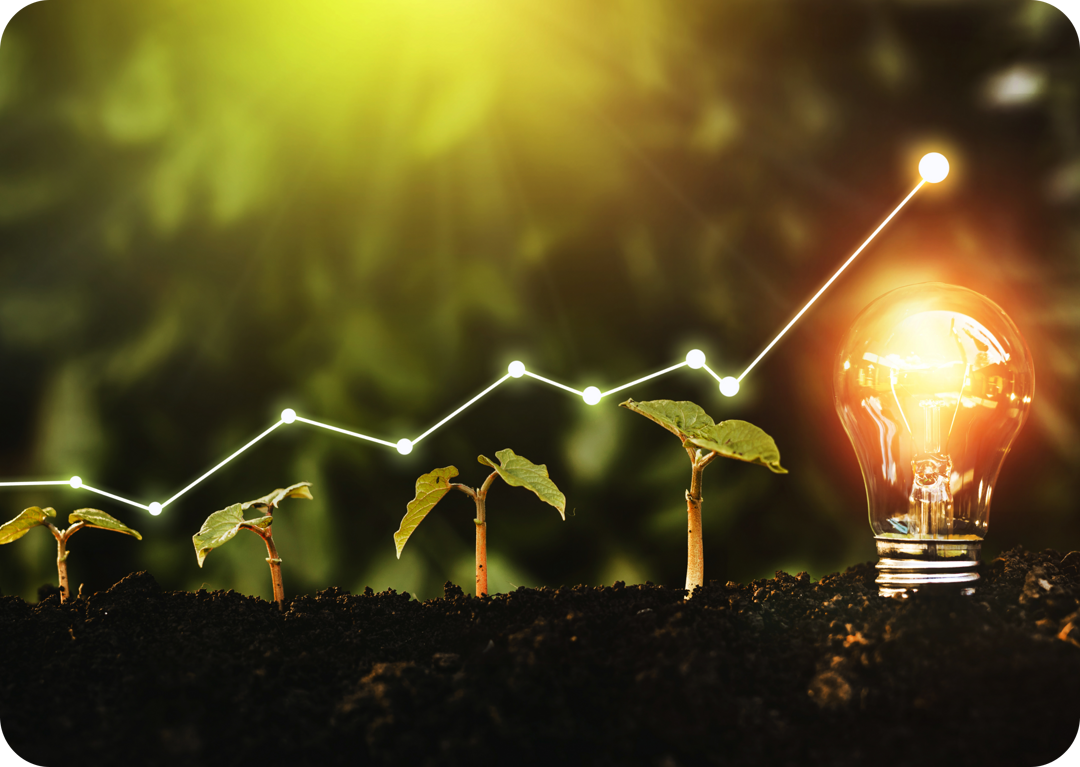 Growth and Innovation